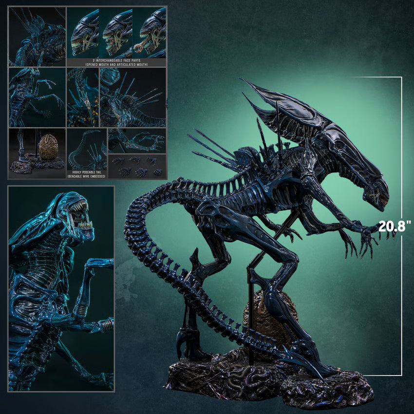 Hot Toys 1/6 Alien Queen "Aliens" | Hot Toys 1/6 Scale