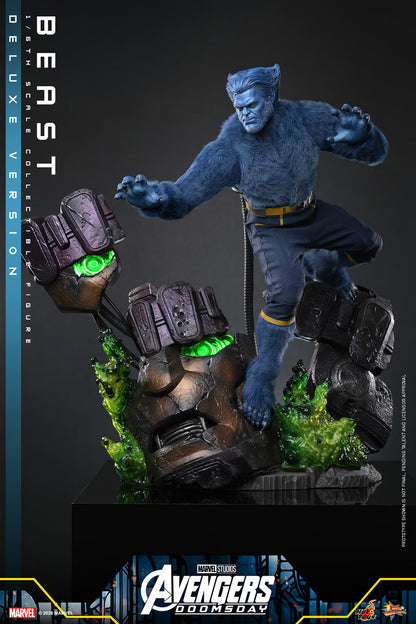 Beast (Deluxe Version) 1/6 Scale Figure "X-Men" | Hot Toys