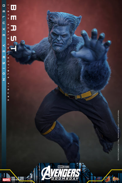 Beast (Deluxe Version) 1/6 Scale Figure "X-Men" | Hot Toys