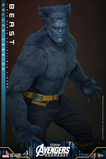 Beast (Deluxe Version) 1/6 Scale Figure "X-Men" | Hot Toys