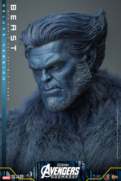 Beast (Deluxe Version) 1/6 Scale Figure "X-Men" | Hot Toys