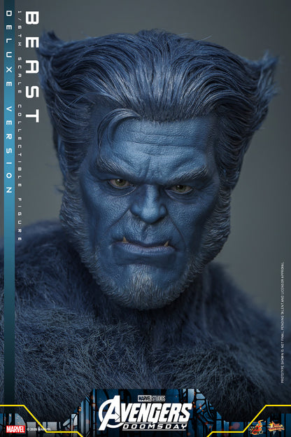 Beast (Deluxe Version) 1/6 Scale Figure "X-Men" | Hot Toys