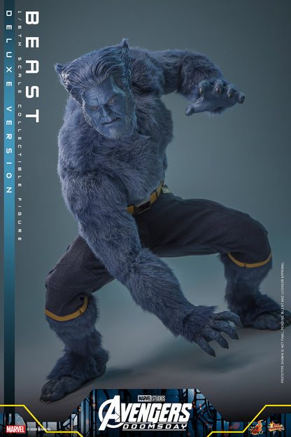 Beast (Deluxe Version) 1/6 Scale Figure "X-Men" | Hot Toys