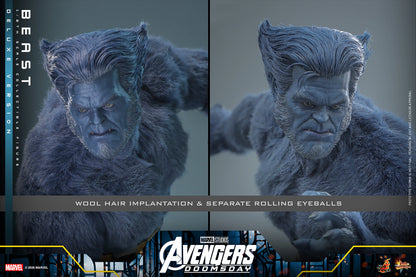 Beast (Deluxe Version) 1/6 Scale Figure "X-Men" | Hot Toys