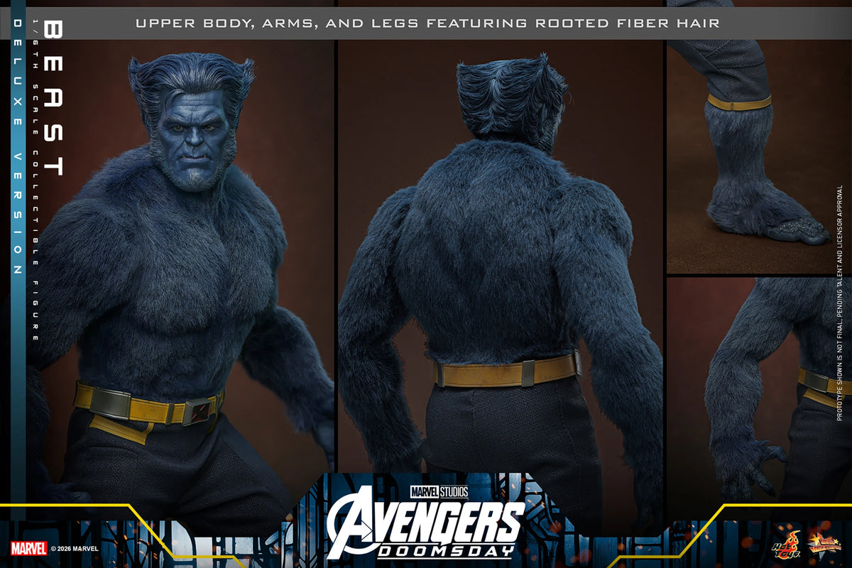 Beast (Deluxe Version) 1/6 Scale Figure "X-Men" | Hot Toys