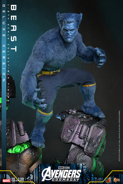 Beast (Deluxe Version) 1/6 Scale Figure "X-Men" | Hot Toys