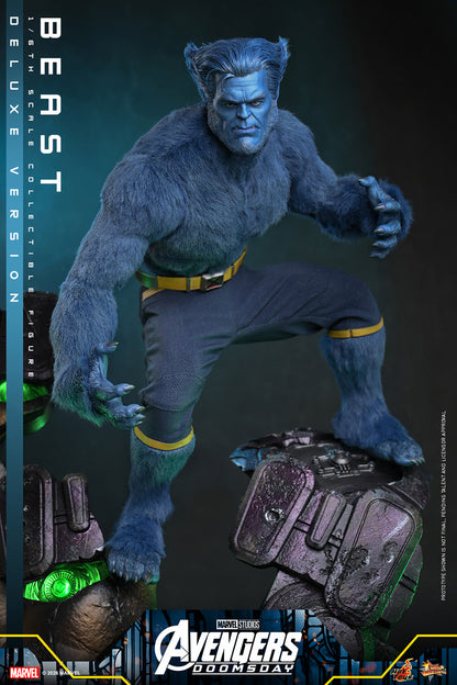 Beast (Deluxe Version) 1/6 Scale Figure "X-Men" | Hot Toys