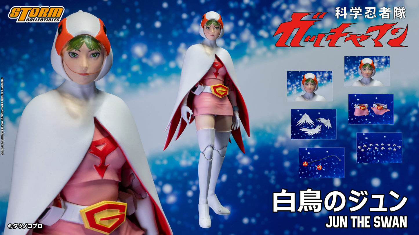 Gatchaman Jun THE SWAN by Storm Collectibles showing all accessories