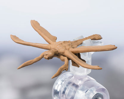 Pre Order S.H.MonsterArts Megaguirus Evolution Set "Godzilla" | Bandai Tamashii Nations