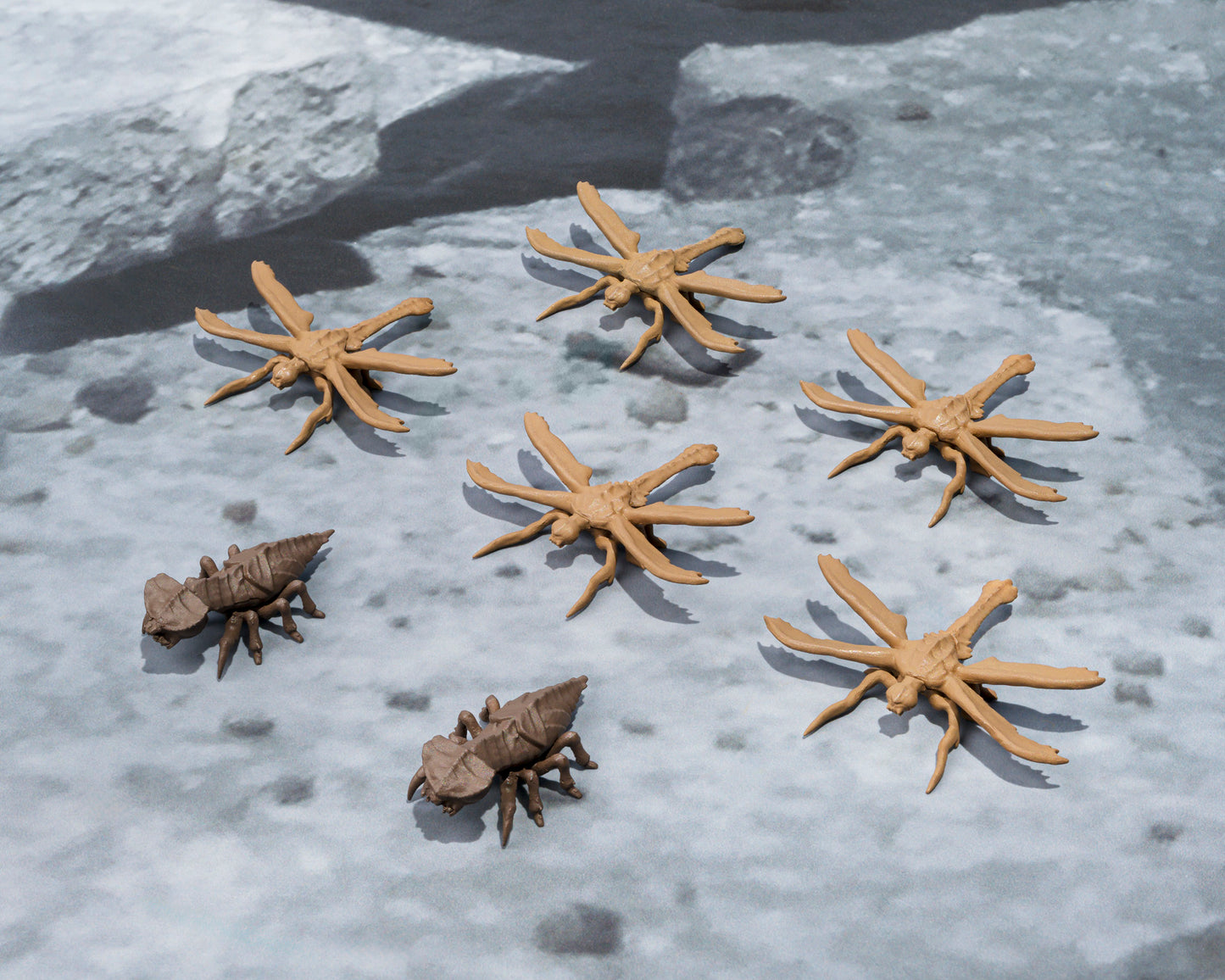 Pre Order S.H.MonsterArts Megaguirus Evolution Set "Godzilla" | Bandai Tamashii Nations