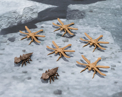 Pre Order S.H.MonsterArts Megaguirus Evolution Set "Godzilla" | Bandai Tamashii Nations