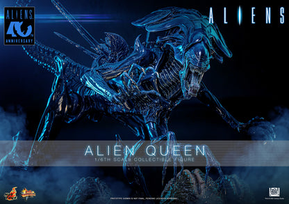 Hot Toys 1/6 Alien Queen "Aliens" | Hot Toys 1/6 Scale