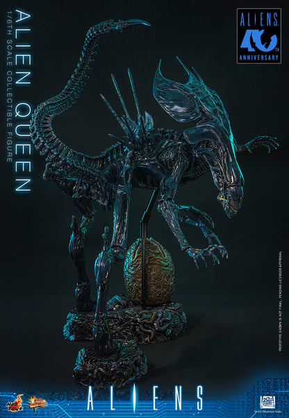 Hot Toys 1/6 Alien Queen "Aliens" | Hot Toys 1/6 Scale