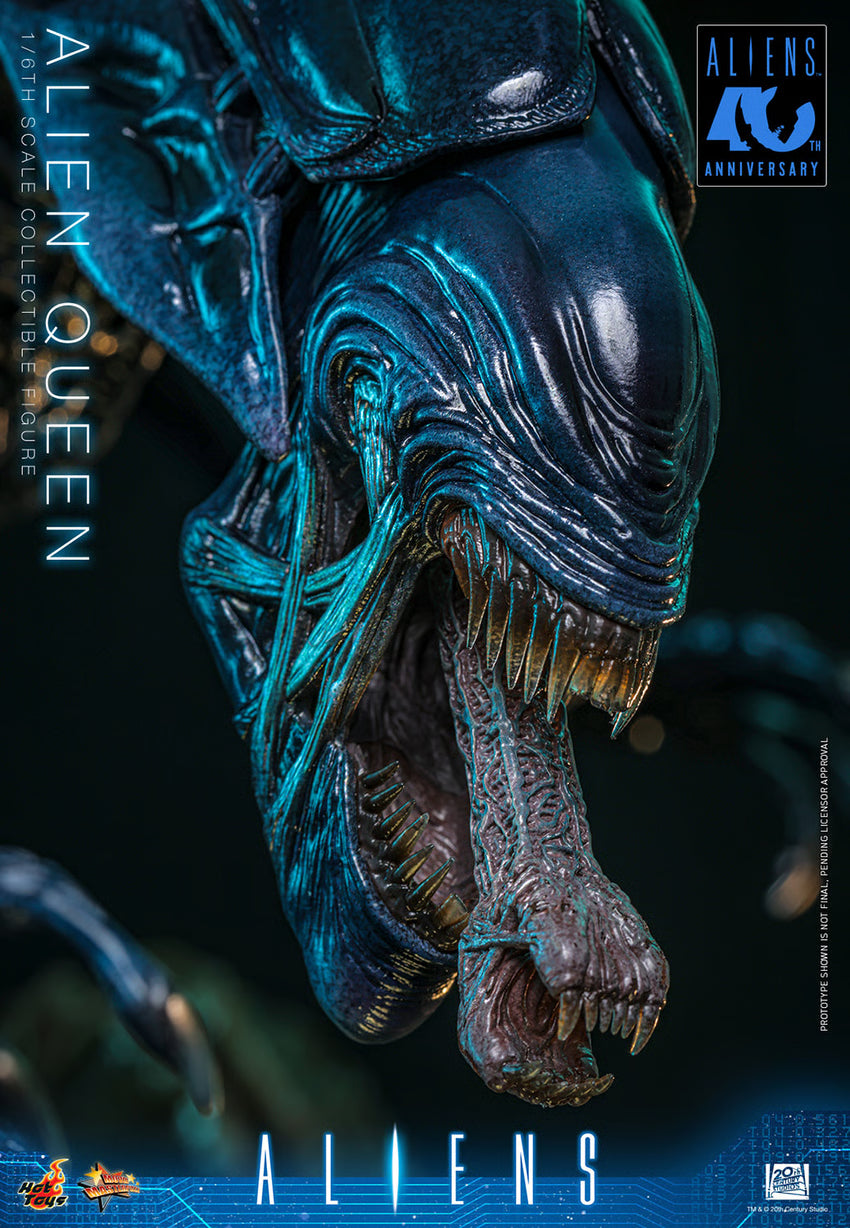 Hot Toys 1/6 Alien Queen "Aliens" | Hot Toys 1/6 Scale
