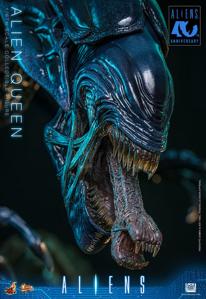 Hot Toys 1/6 Alien Queen "Aliens" | Hot Toys 1/6 Scale