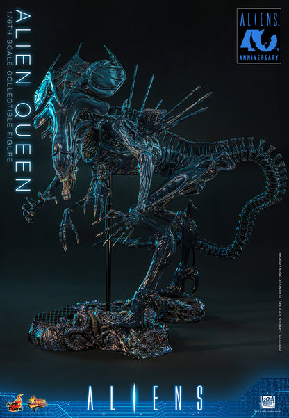 Hot Toys 1/6 Alien Queen "Aliens" | Hot Toys 1/6 Scale