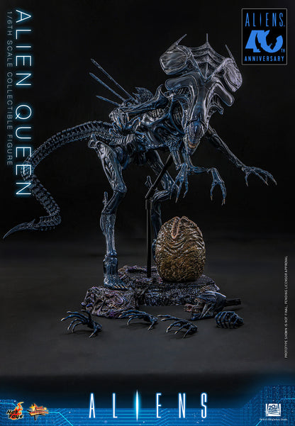 Hot Toys 1/6 Alien Queen "Aliens" | Hot Toys 1/6 Scale