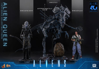 Hot Toys 1/6 Alien Queen "Aliens" | Hot Toys 1/6 Scale