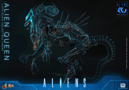Hot Toys 1/6 Alien Queen "Aliens" | Hot Toys 1/6 Scale