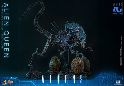 Hot Toys 1/6 Alien Queen "Aliens" | Hot Toys 1/6 Scale