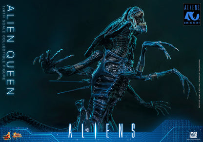 Hot Toys 1/6 Alien Queen "Aliens" | Hot Toys 1/6 Scale