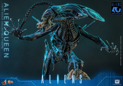 Hot Toys 1/6 Alien Queen "Aliens" | Hot Toys 1/6 Scale