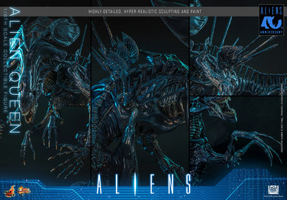 Hot Toys 1/6 Alien Queen "Aliens" | Hot Toys 1/6 Scale