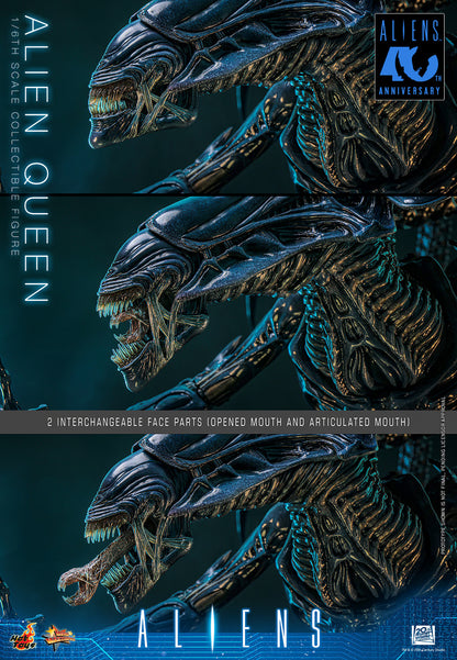 Hot Toys 1/6 Alien Queen "Aliens" | Hot Toys 1/6 Scale