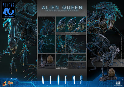 Hot Toys 1/6 Alien Queen "Aliens" | Hot Toys 1/6 Scale