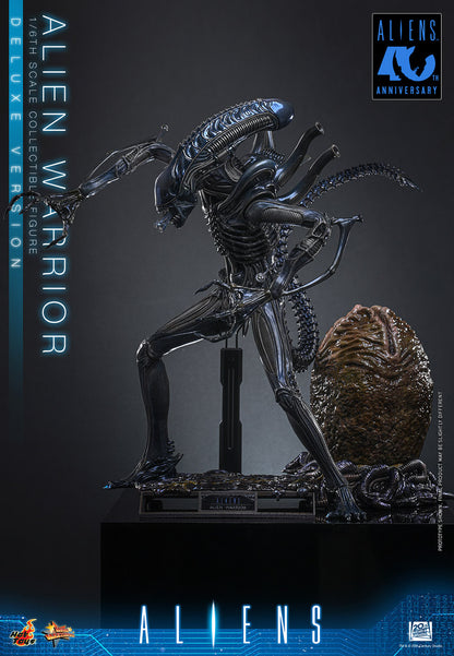 Hot Toys 1/6 Alien Warrior (Deluxe Version) "Aliens" | Hot Toys 1/6 Scale