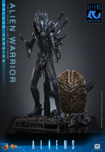 Hot Toys 1/6 Alien Warrior (Deluxe Version) "Aliens" | Hot Toys 1/6 Scale