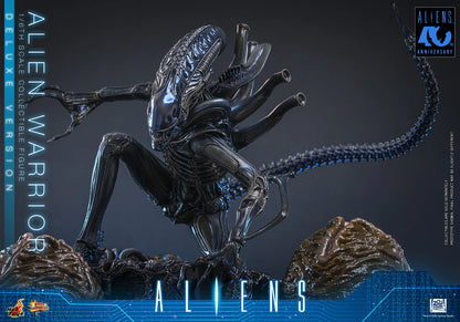 Hot Toys 1/6 Alien Warrior (Deluxe Version) "Aliens" | Hot Toys 1/6 Scale