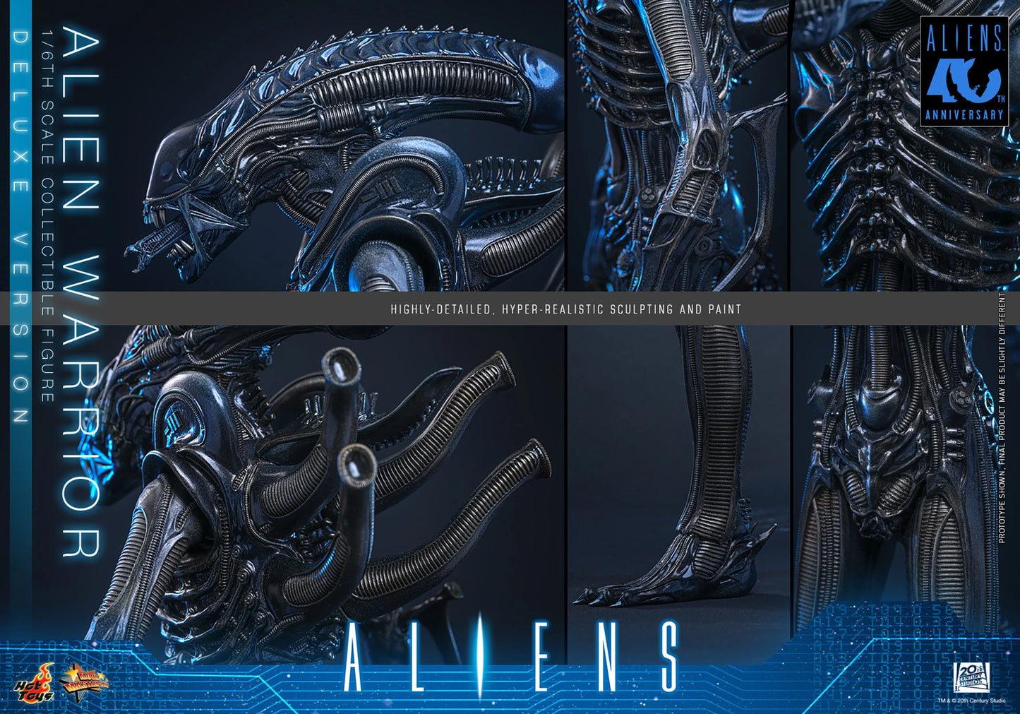 Hot Toys 1/6 Alien Warrior (Deluxe Version) "Aliens" | Hot Toys 1/6 Scale