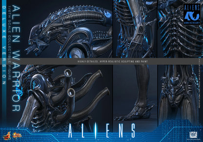 Hot Toys 1/6 Alien Warrior (Deluxe Version) "Aliens" | Hot Toys 1/6 Scale