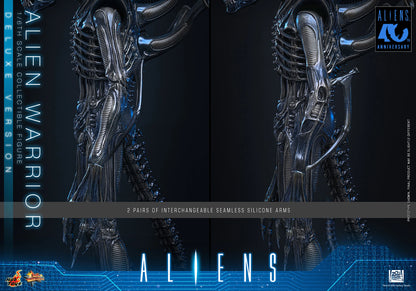 Hot Toys 1/6 Alien Warrior (Deluxe Version) "Aliens" | Hot Toys 1/6 Scale