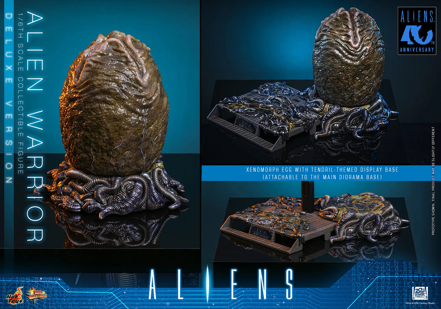 Hot Toys 1/6 Alien Warrior (Deluxe Version) "Aliens" | Hot Toys 1/6 Scale