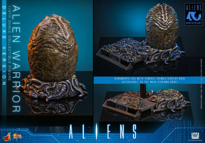 Hot Toys 1/6 Alien Warrior (Deluxe Version) "Aliens" | Hot Toys 1/6 Scale