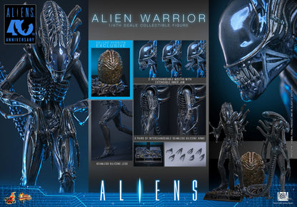 Hot Toys 1/6 Alien Warrior (Deluxe Version) "Aliens" | Hot Toys 1/6 Scale