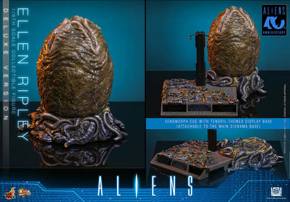 Hot Toys 1/6 Ellen Ripley (Deluxe Version) "Aliens" | Hot Toys 1/6 Scale