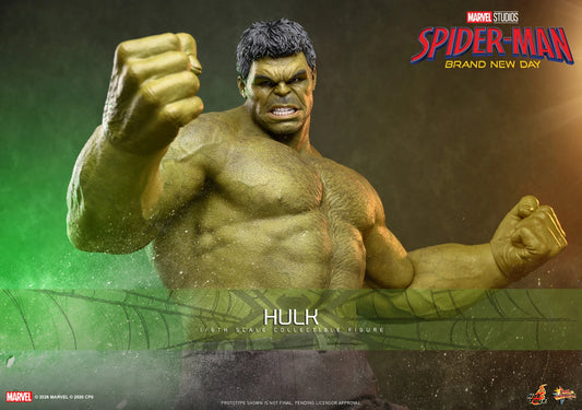 Hot Toys 1/6 Hulk "Spider-Man: Brand New Day" | Hot Toys 1/6 Scale