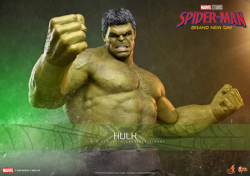 Hot Toys 1/6 Hulk "Spider-Man: Brand New Day" | Hot Toys 1/6 Scale