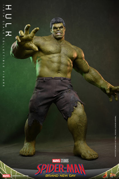 Hot Toys 1/6 Hulk "Spider-Man: Brand New Day" | Hot Toys 1/6 Scale