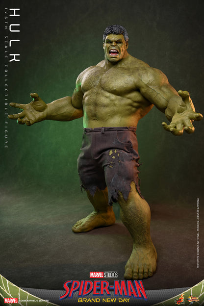 Hot Toys 1/6 Hulk "Spider-Man: Brand New Day" | Hot Toys 1/6 Scale