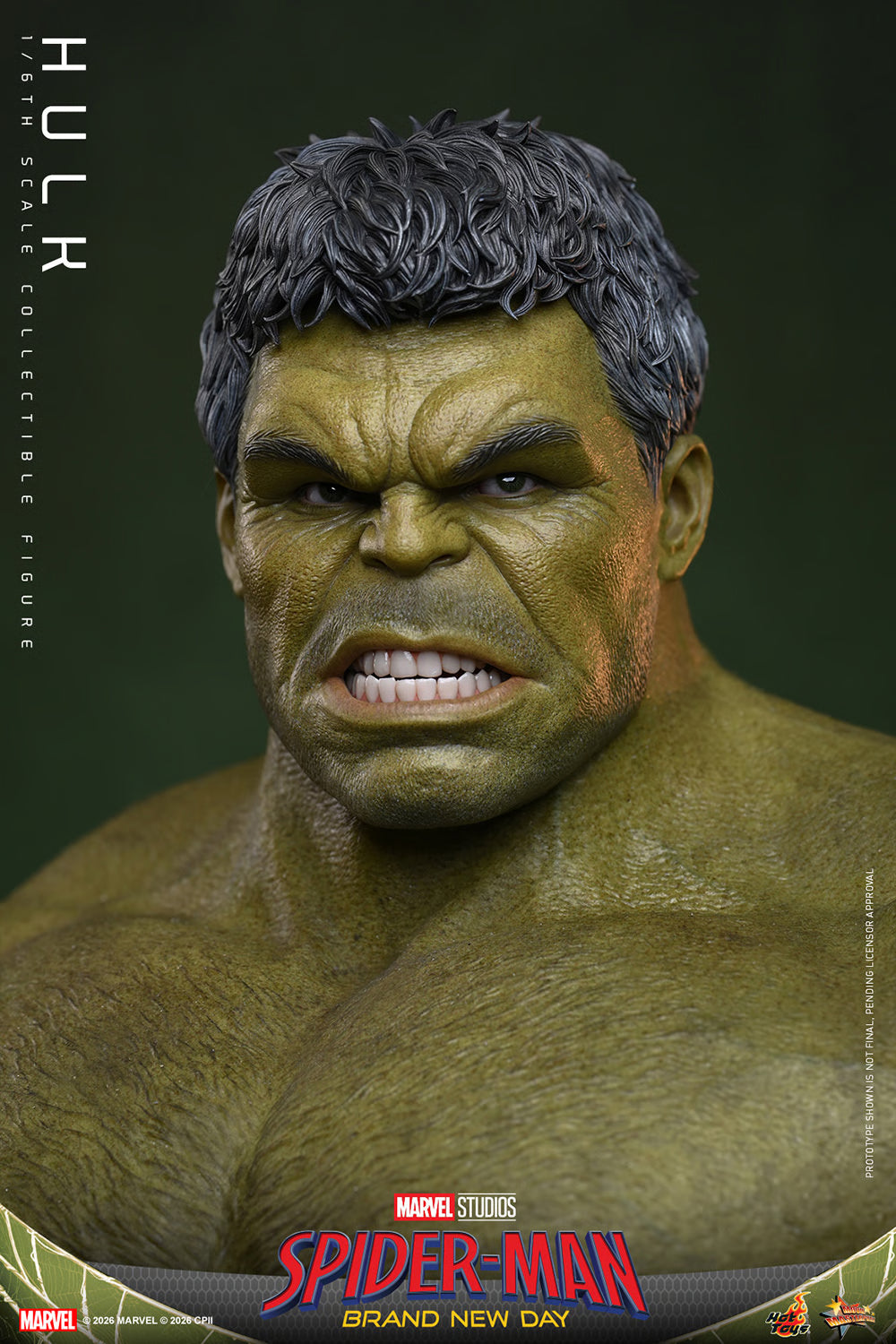 Hot Toys 1/6 Hulk "Spider-Man: Brand New Day" | Hot Toys 1/6 Scale