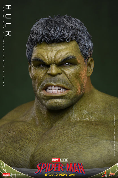 Hot Toys 1/6 Hulk "Spider-Man: Brand New Day" | Hot Toys 1/6 Scale