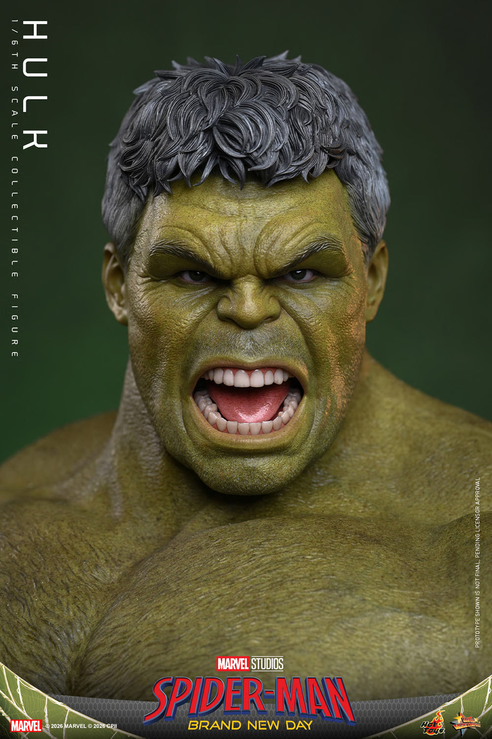 Hot Toys 1/6 Hulk "Spider-Man: Brand New Day" | Hot Toys 1/6 Scale