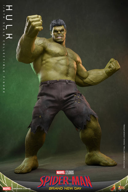 Hot Toys 1/6 Hulk "Spider-Man: Brand New Day" | Hot Toys 1/6 Scale