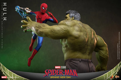 Hot Toys 1/6 Hulk "Spider-Man: Brand New Day" | Hot Toys 1/6 Scale