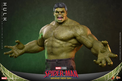 Hot Toys 1/6 Hulk "Spider-Man: Brand New Day" | Hot Toys 1/6 Scale