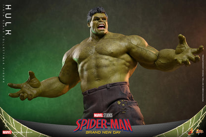 Hot Toys 1/6 Hulk "Spider-Man: Brand New Day" | Hot Toys 1/6 Scale
